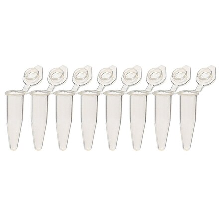 Scientific Specialties Snapstrip II, Natural, 960/pk, 960PK 249940